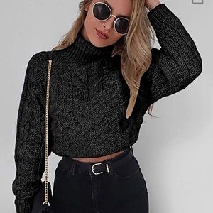 Turtleneck Long Sleeves Chunky Cropped Pullover